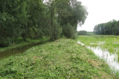 2010-rybnik-horejsi007