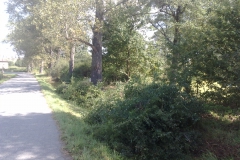 2010-rybnik-zabovna004