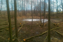 2012-rybniky-herman001