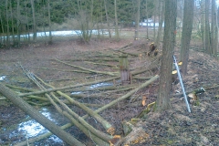 2012-rybniky-herman002