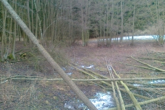 2012-rybniky-herman015