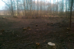 2012-rybniky-herman018
